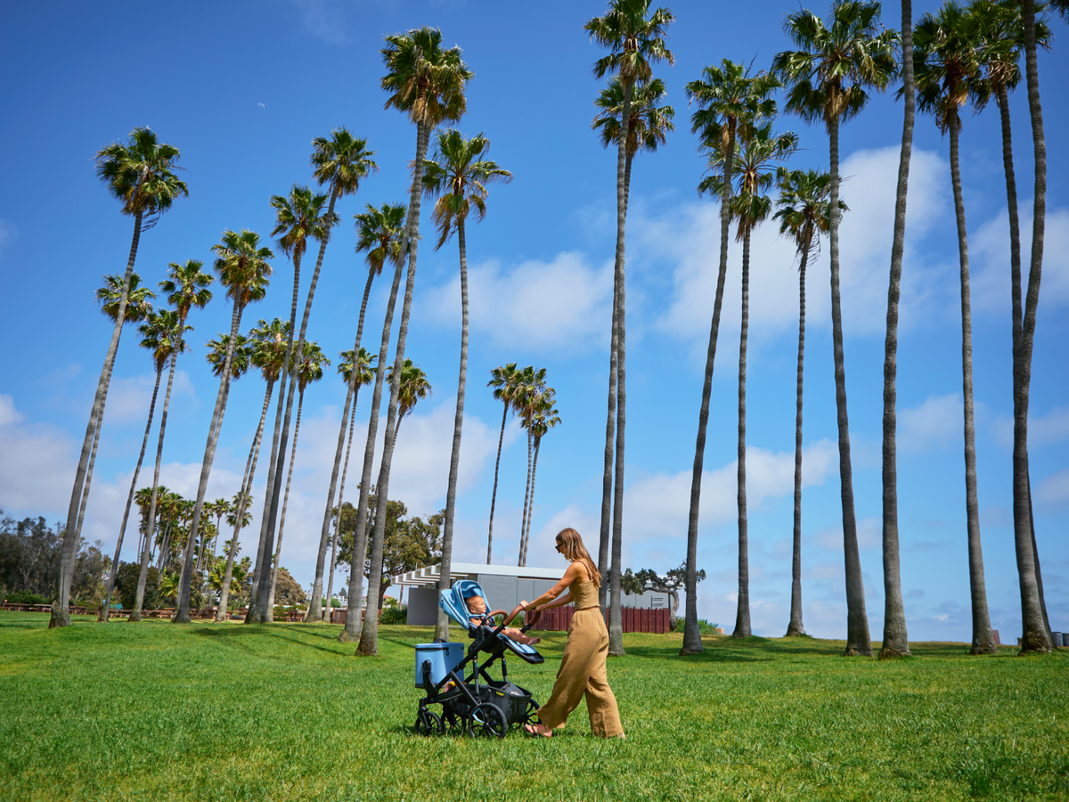 Switch and Roll stroller on an outdoor adventure